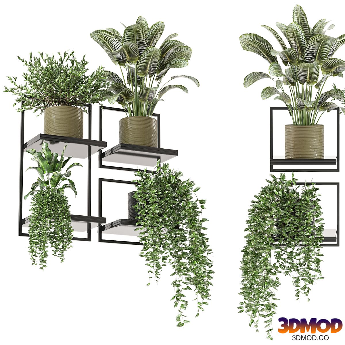 indoor hanging plants in metal box_set 332