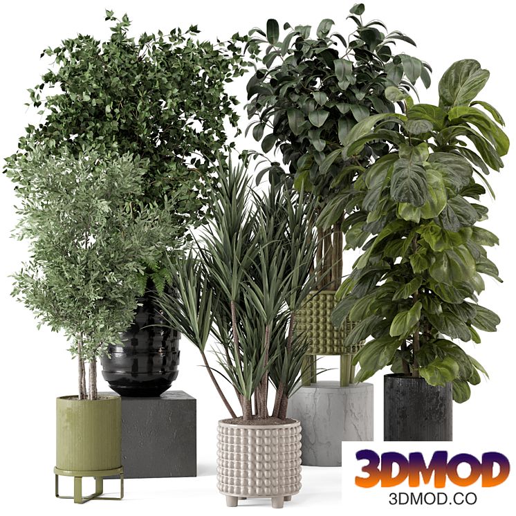 Indoor Plants in Ferm Living Bau Pot Large - Set 1053