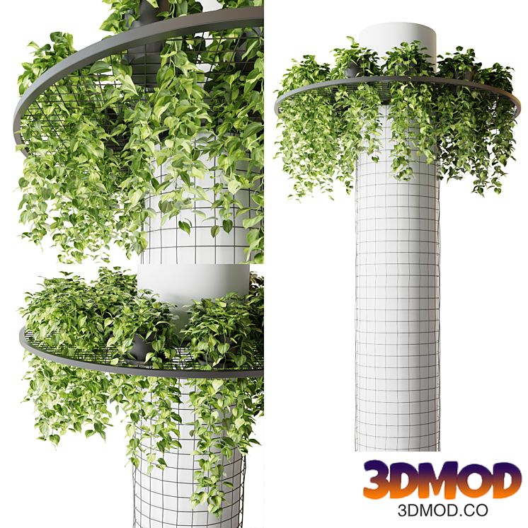 Column with hanging plants (epipremnum)