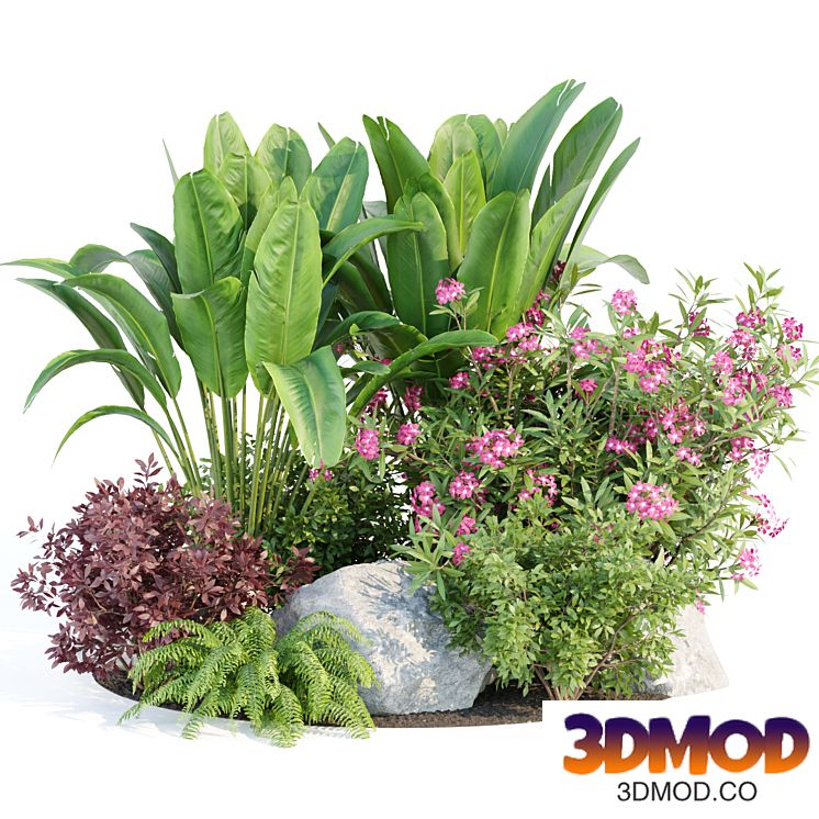 Outdoor Garden Plants Collection vol 136