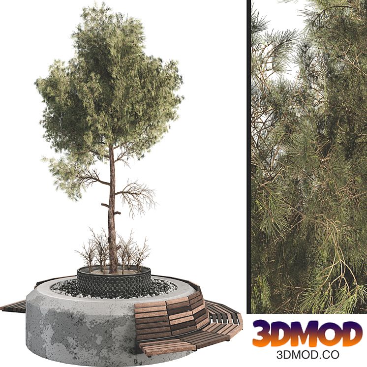 Outdoor Plant Set 06