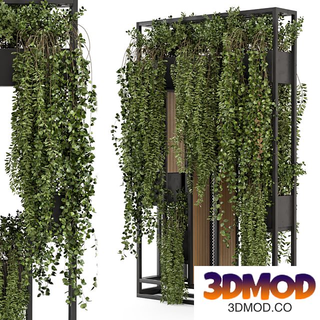 Indoor Hanging Plants in Metal Stand - Set 1005