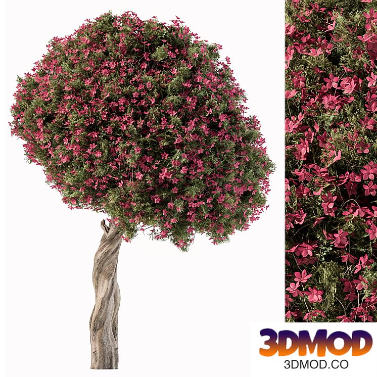 Flower Tree - Set 104