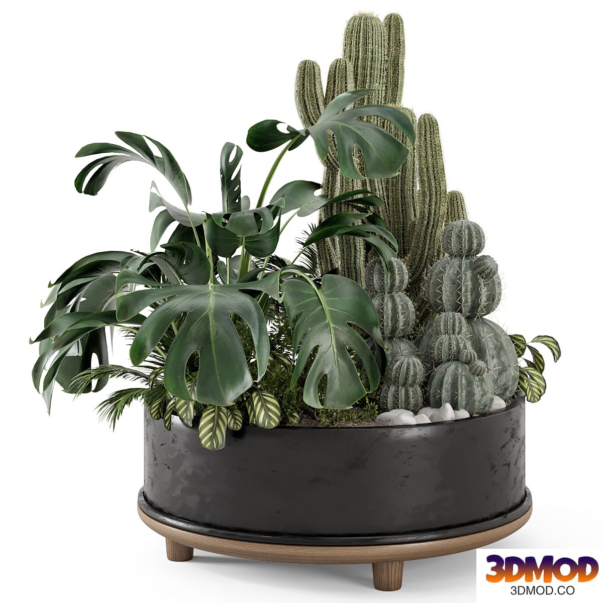 Outdoor Plants Bush in rusty Metal Pot - Set 666