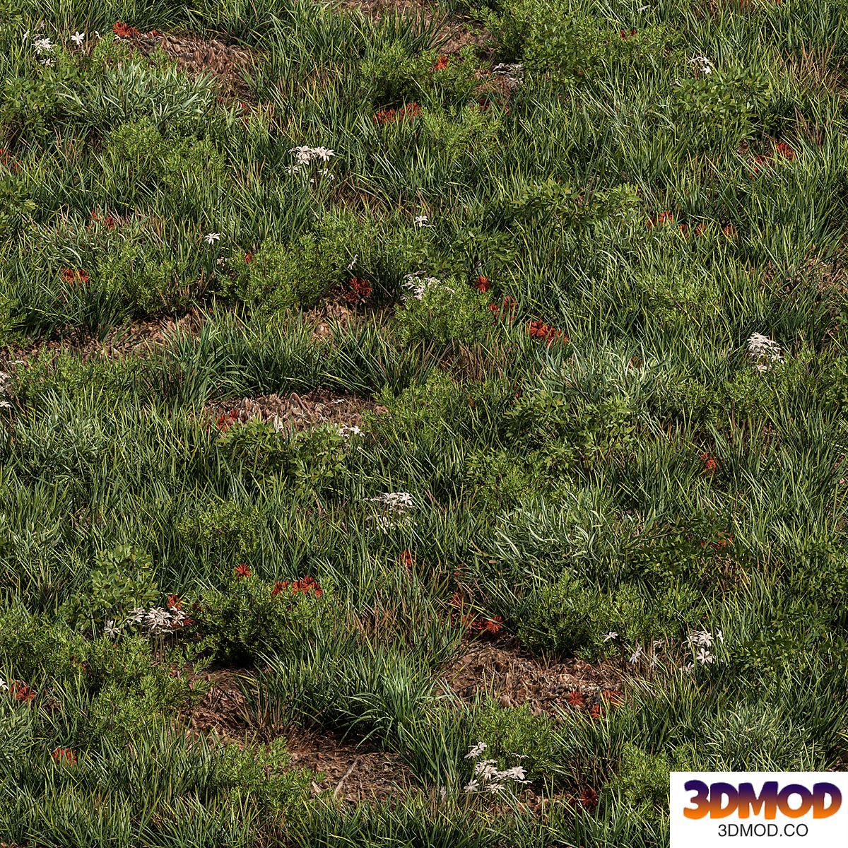 Spring Grass - Grass Set 07