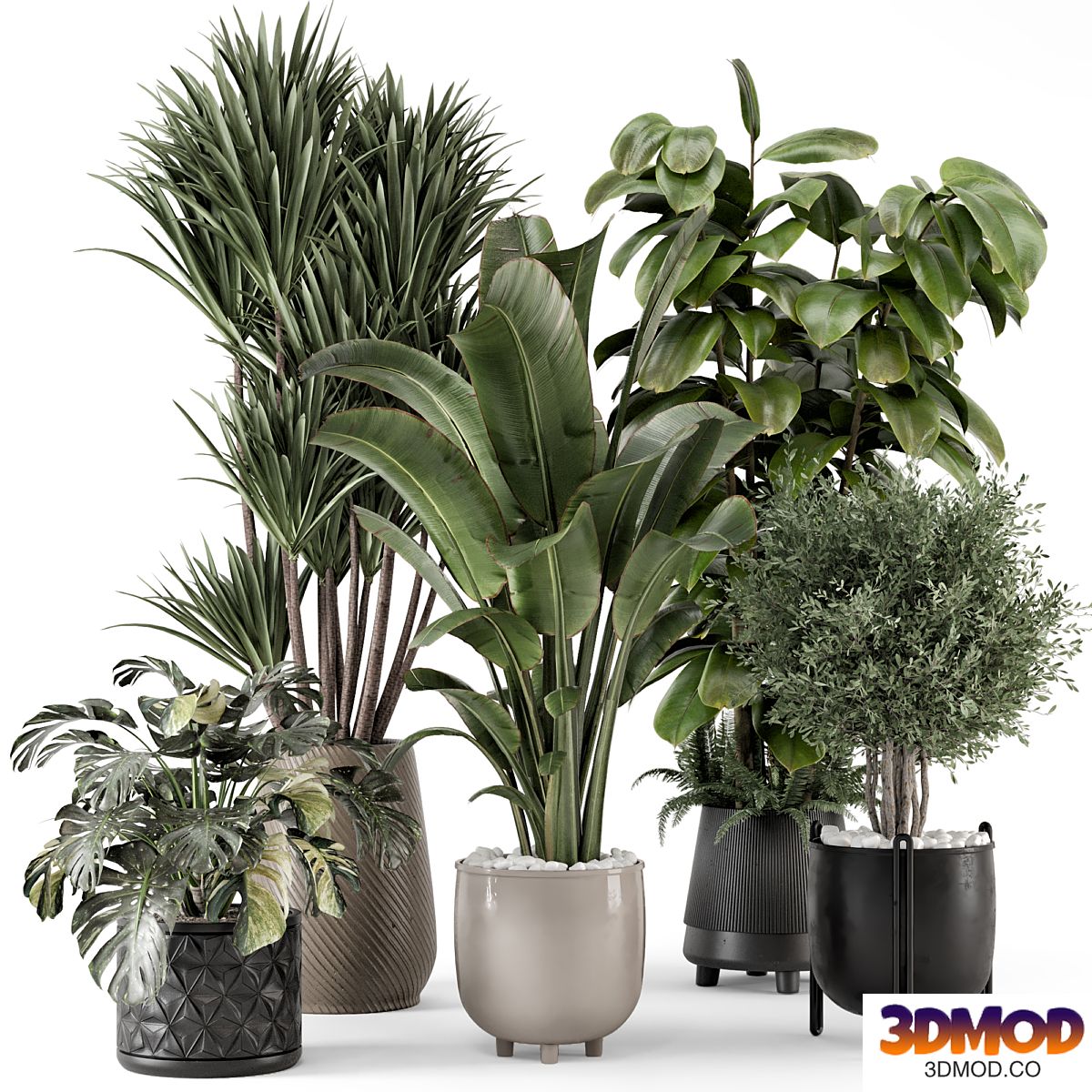 Indoor Plants in Ferm Living Bau Pot Large - Set 1343