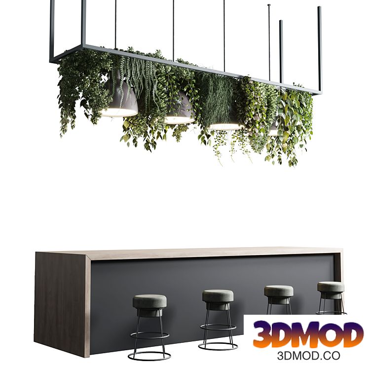 Coffee shop reception, Restaurant counter by hanging plant - 04