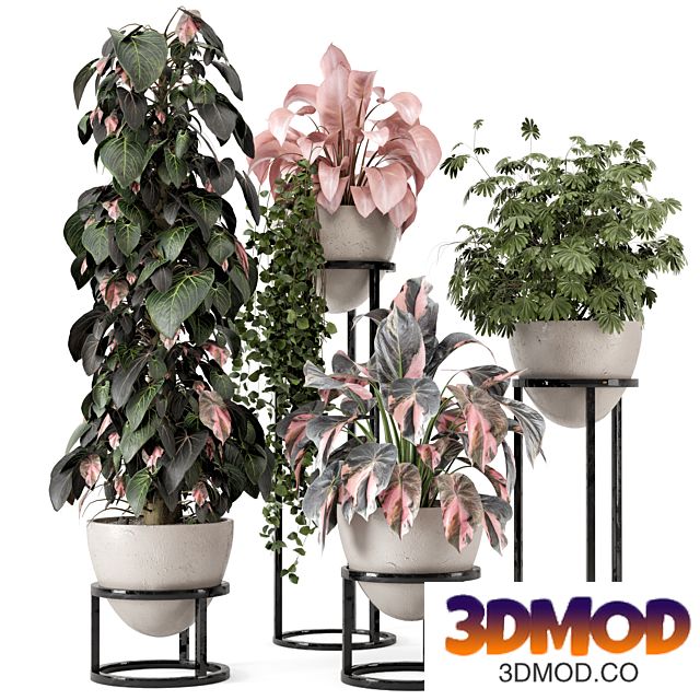 Indoor Plants in rusty Concrete Pot on Metal Shelf - Set 964