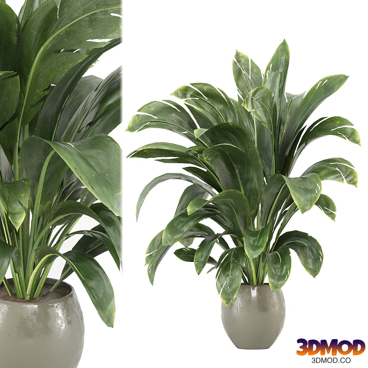 indoor Plants Collection - Set 586