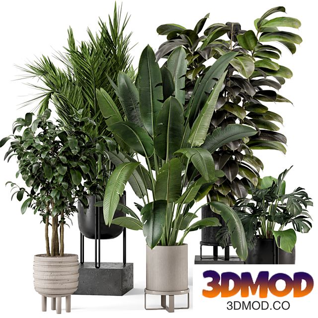 Indoor Plants in Ferm Living Bau Pot Large - Set 879