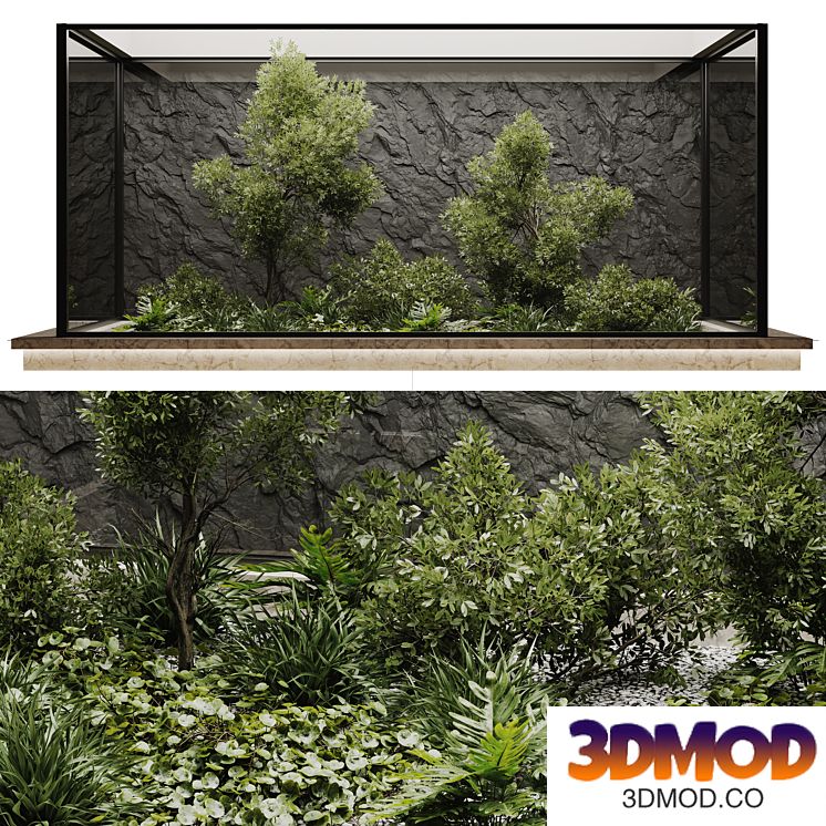 indoor plant set 50