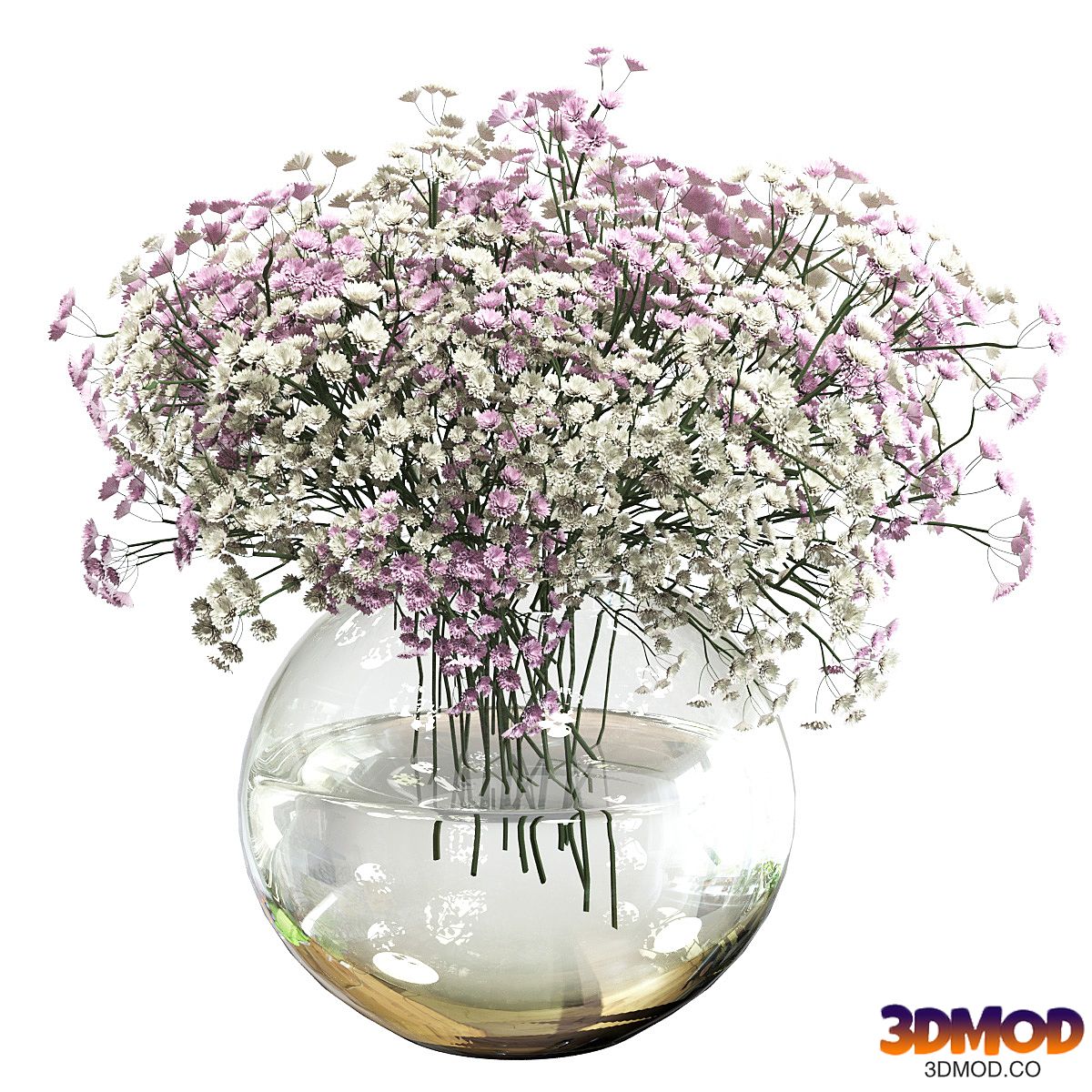 Bouquet of white and pink gypsophila
