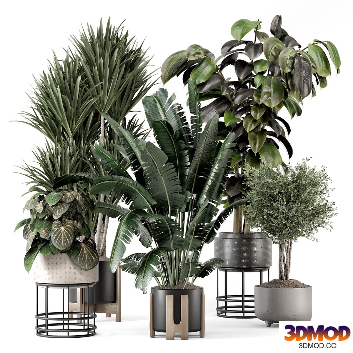 Indoor Plants in Ferm Living Bau Pot Large - Set 1351