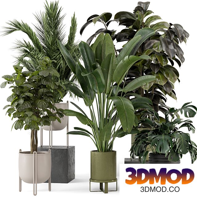 Indoor Plants in Ferm Living Bau Pot Large - Set 976