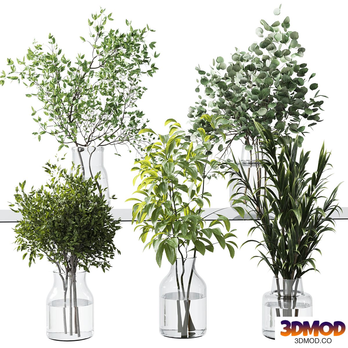 Collection Green Plants Bouquet Indoor 12