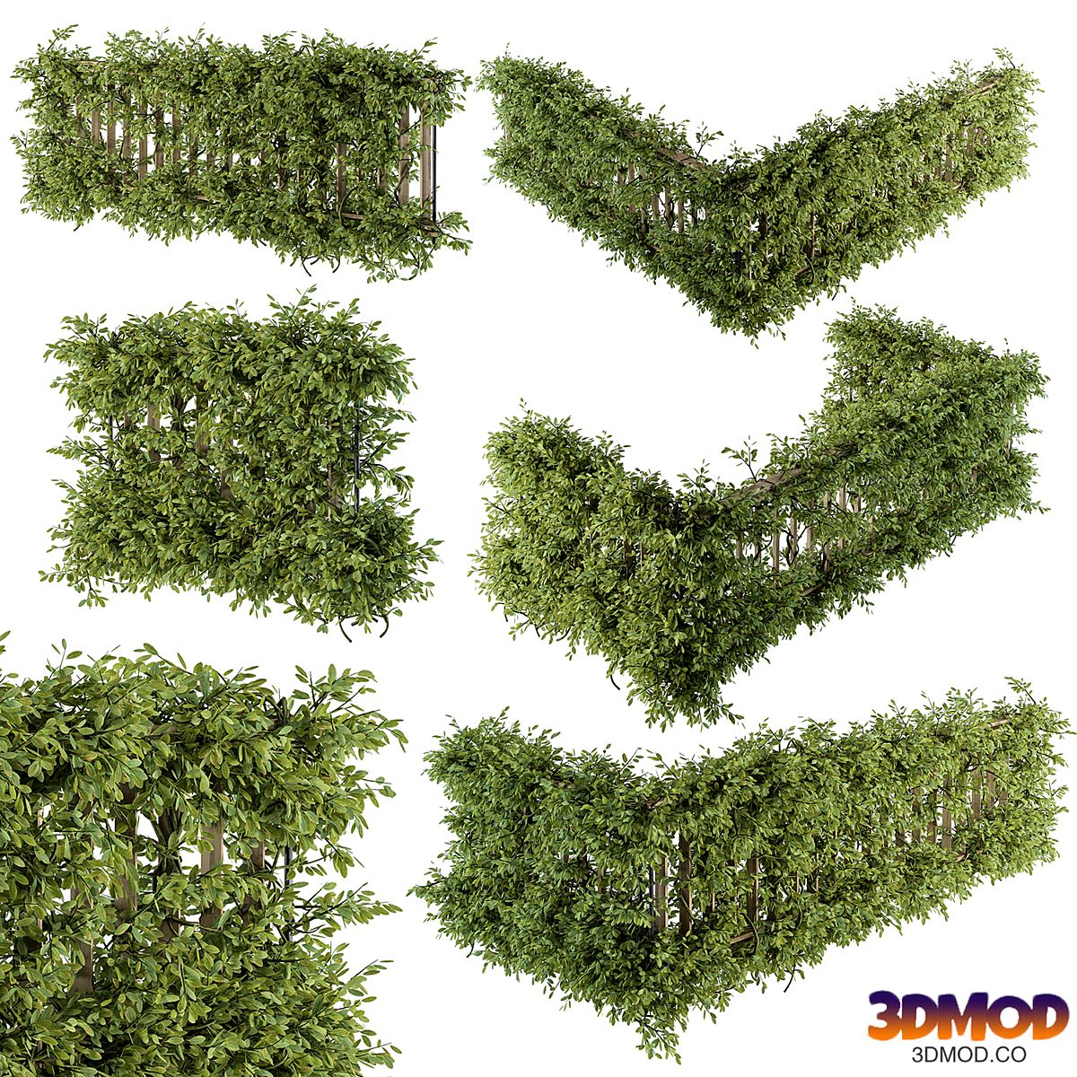 Outdoor Wood Fence with Ivy Plants - Fence 07