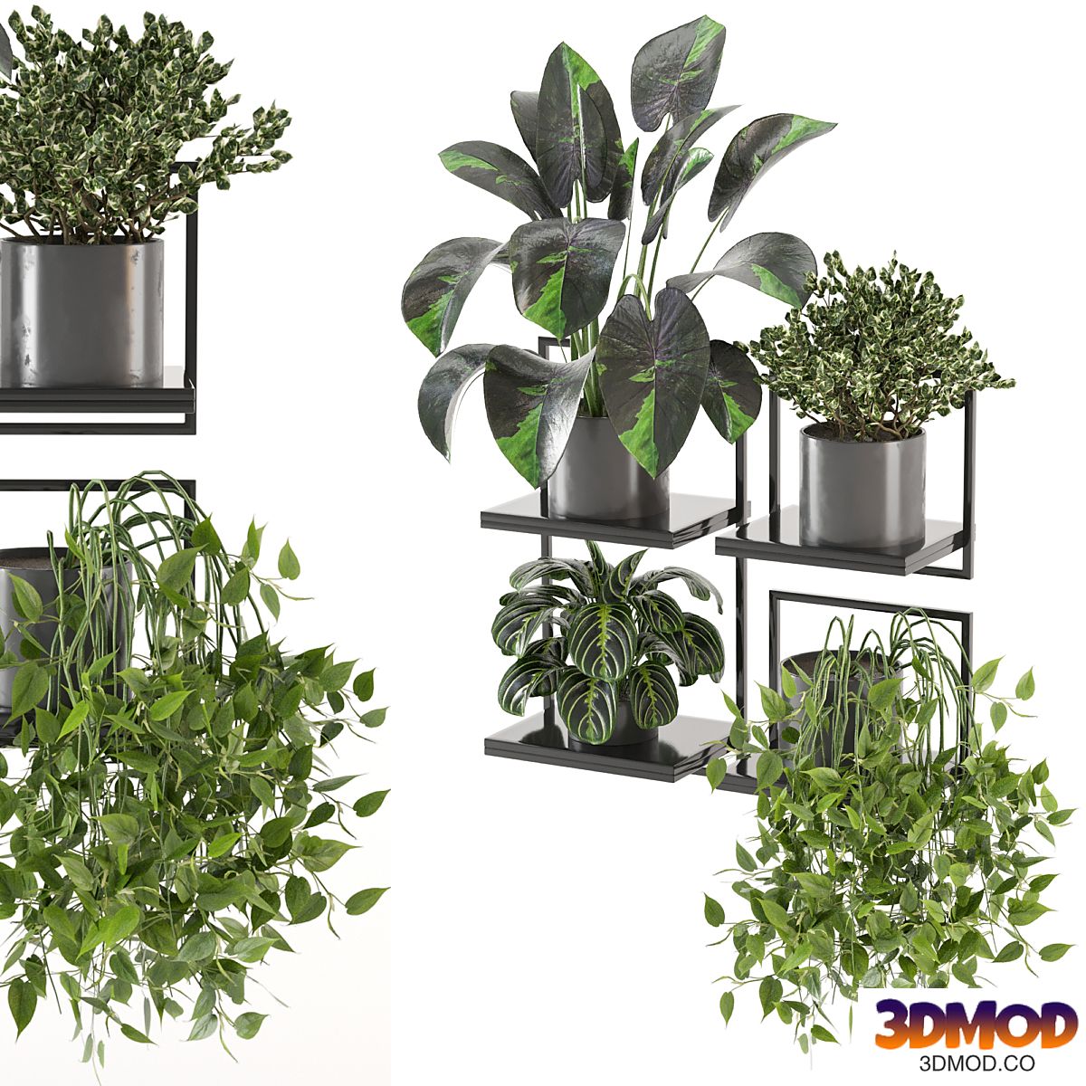 indoor plants on metal frame - Set 287
