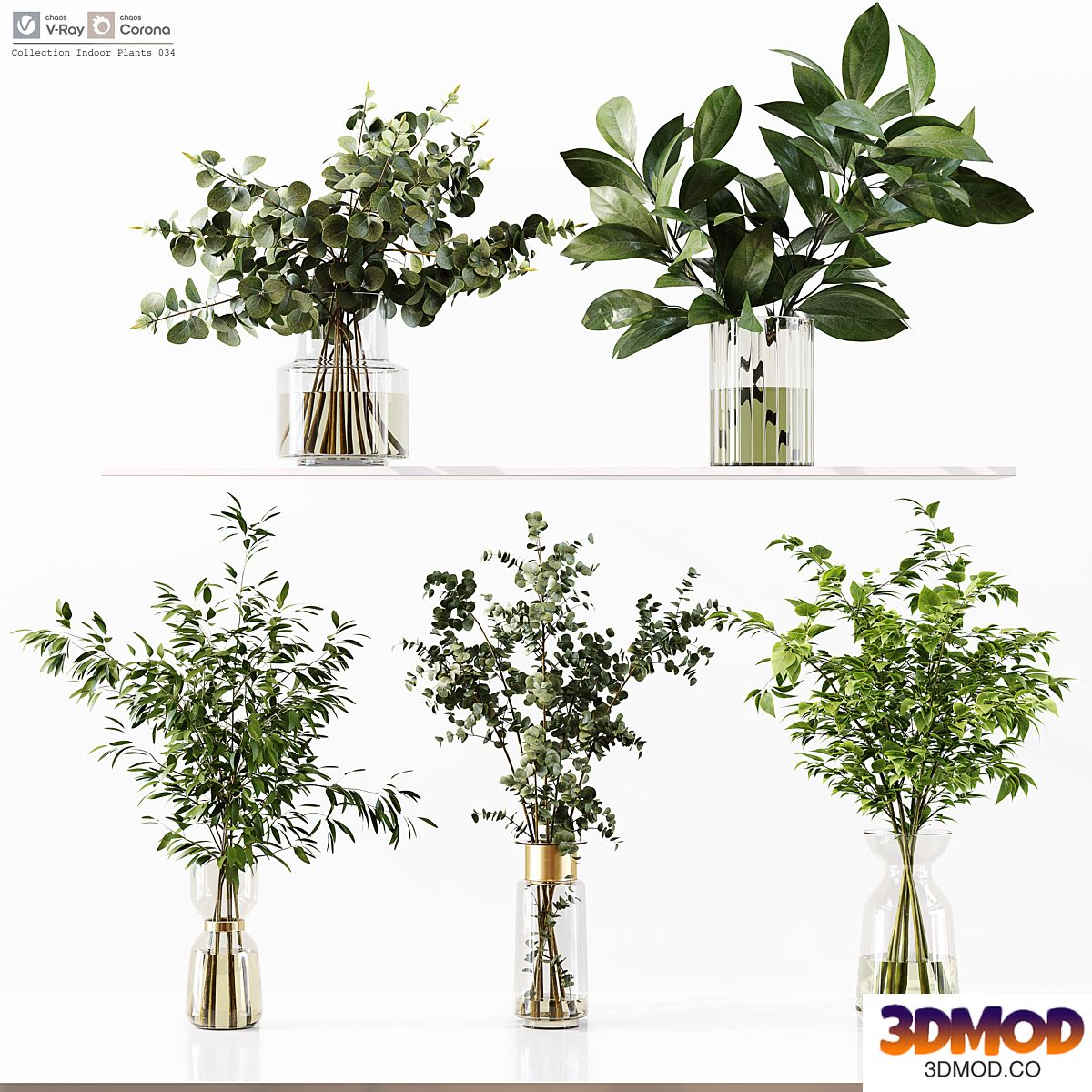 Collection Indoor Plants 034