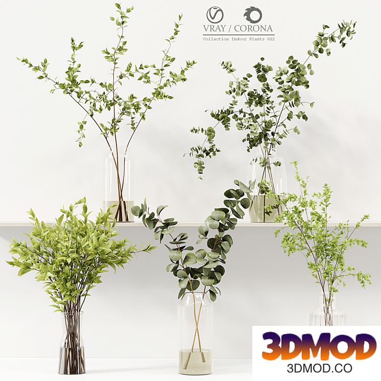Collection Indoor Plants 022