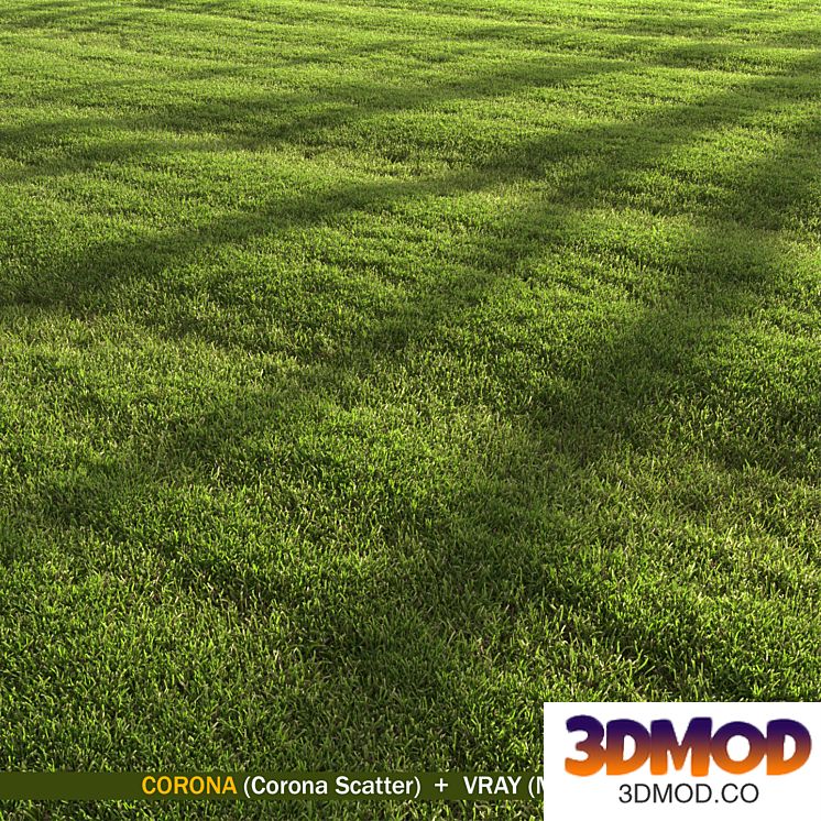 lawn landscape