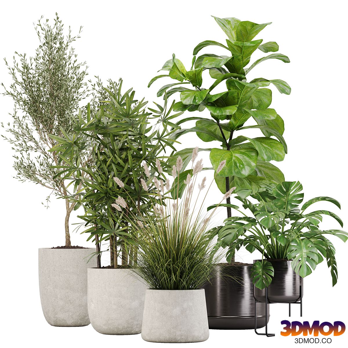 indoor plant set 32
