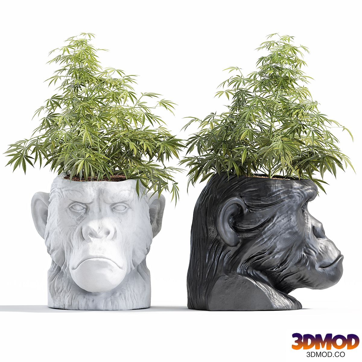 Ape Head Planter