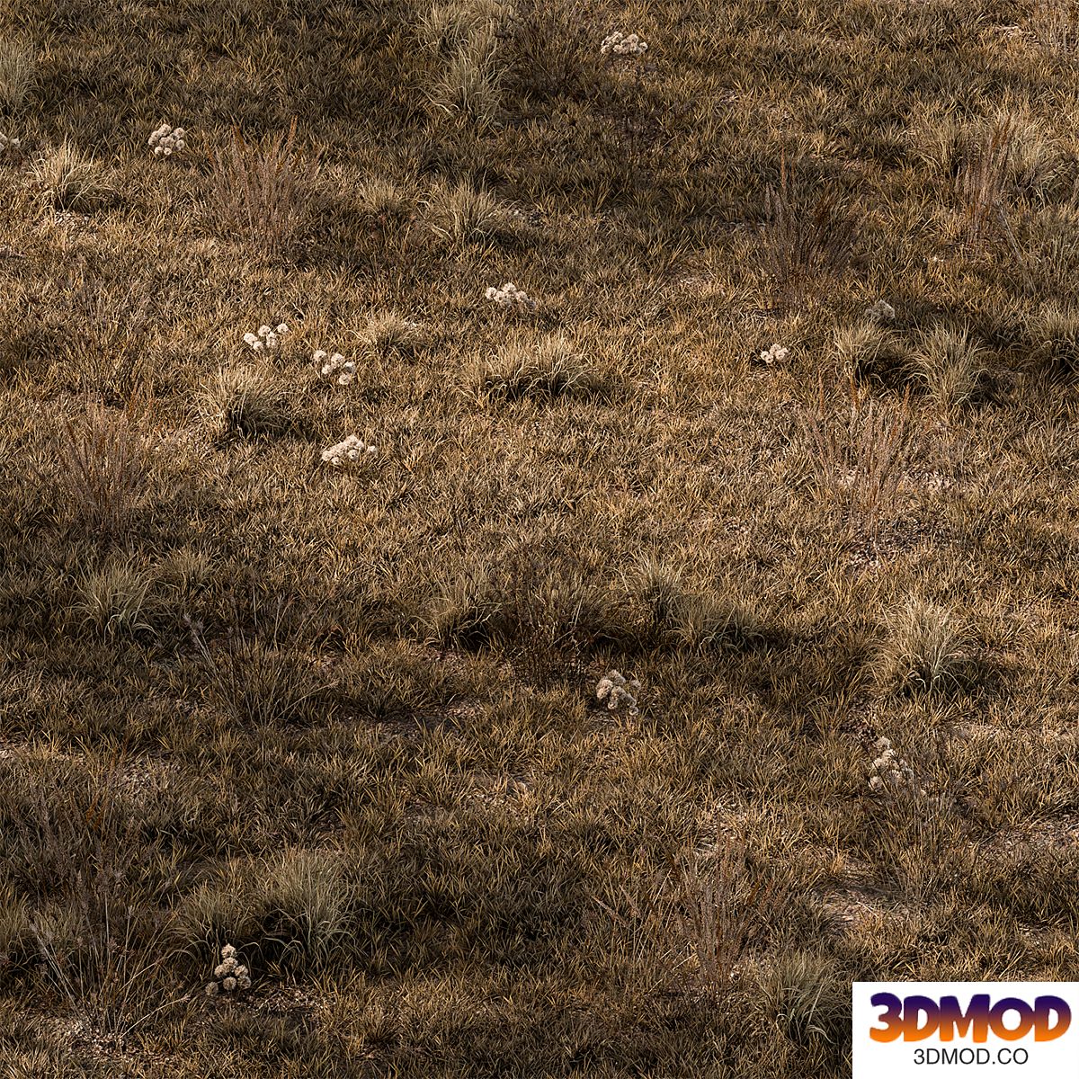 Dry Grass Set 16