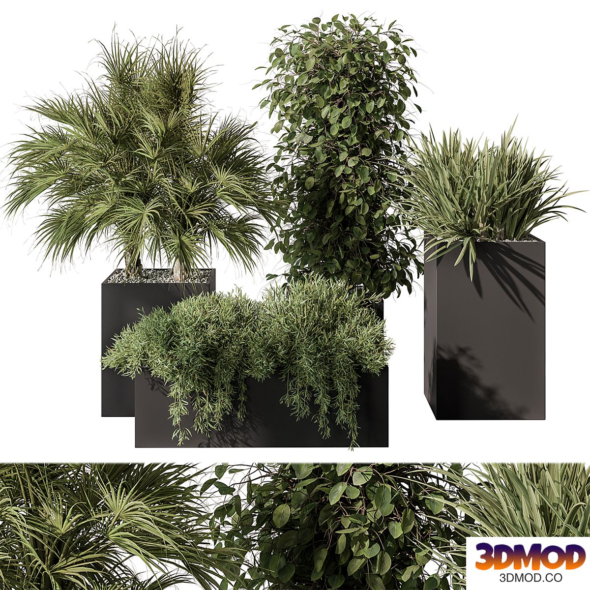 Outdoor Plant Set 402 - Plant Set in Plant Box