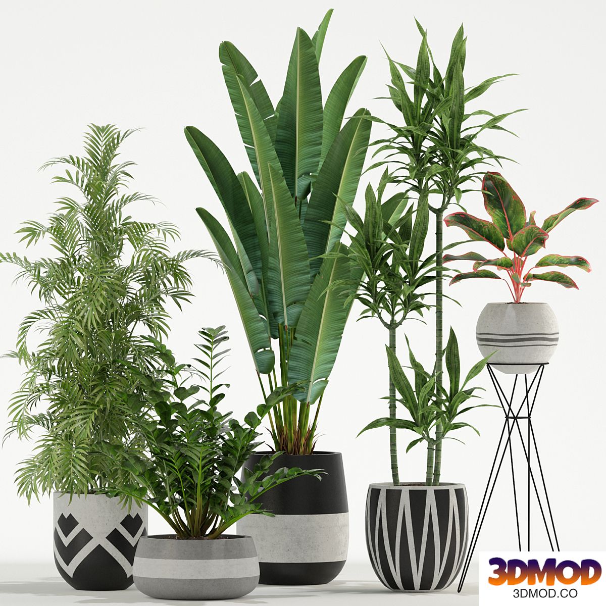 Plants collection 726