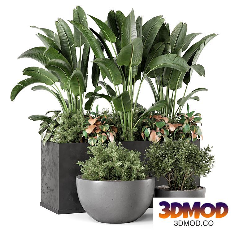 Outdoor Garden set Bush and Tree - Garden Set 1144