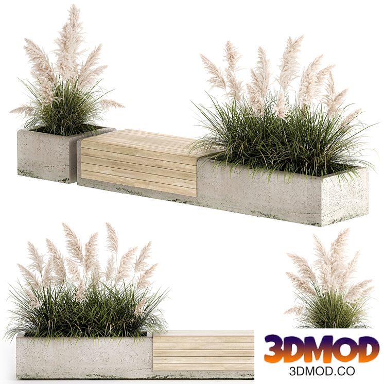 Bench flowerbed for the urban environment in a concrete flowerpot with bushes of reeds and pampas grass, Cortaderia. 1144.