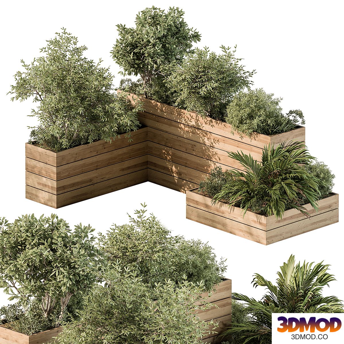 Plant Box - Outdoor Plants 487