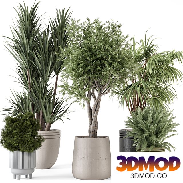 Indoor Plants in Ferm Living Bau Pot Large - Set 817
