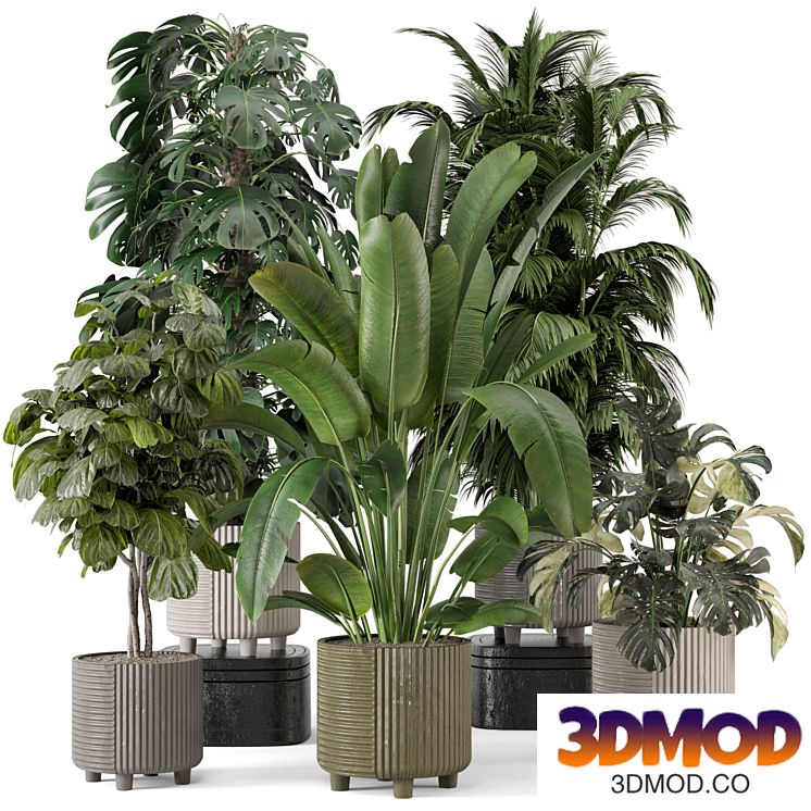 Indoor Planters in Cecilia Ficonstone Pot - Set 969