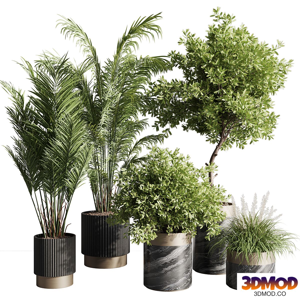 indoor plant set 57