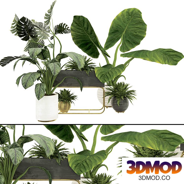 Plant Collection Set 07