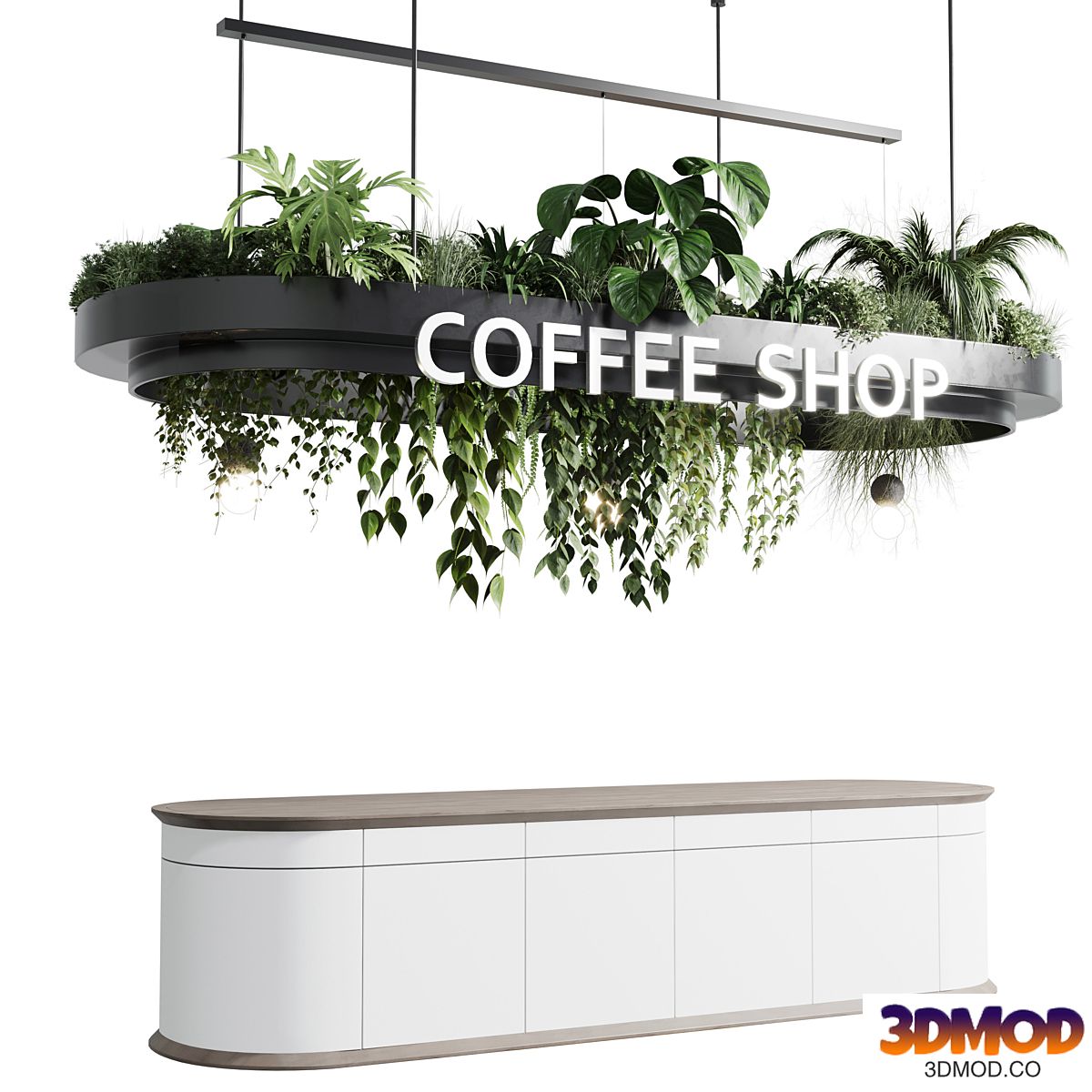 Coffee shop reception, Restaurant counter by  hanging plant - corona 01