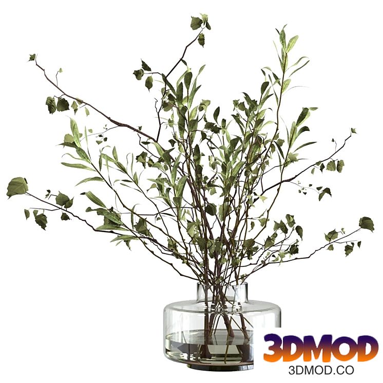 Bouquet of branches