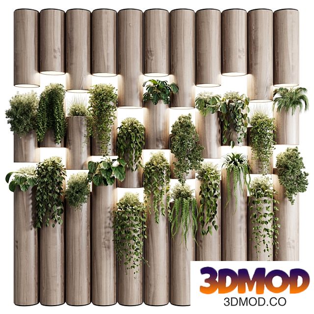 plants set partition in wooden frame- Vertical graden wall decor box 30