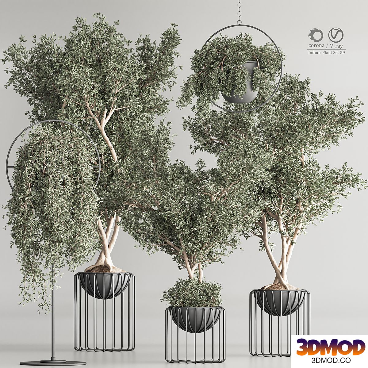 Indoor Plant Set 59