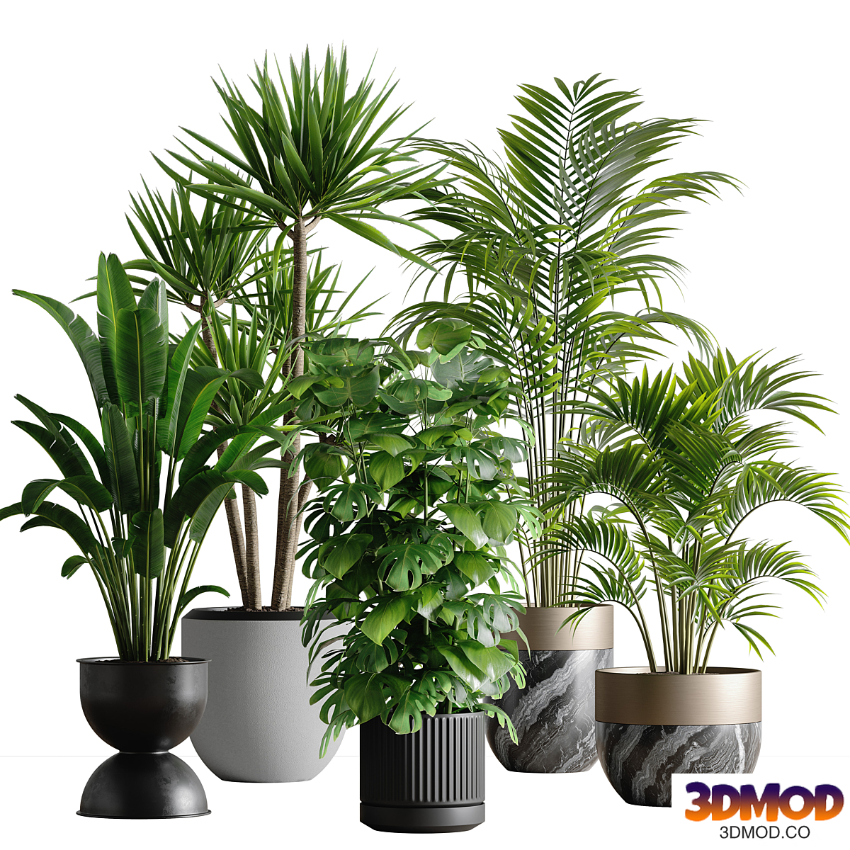 indoor plant set 53