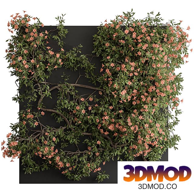 Outdoor Plant Set 426- Ivy on Wall
