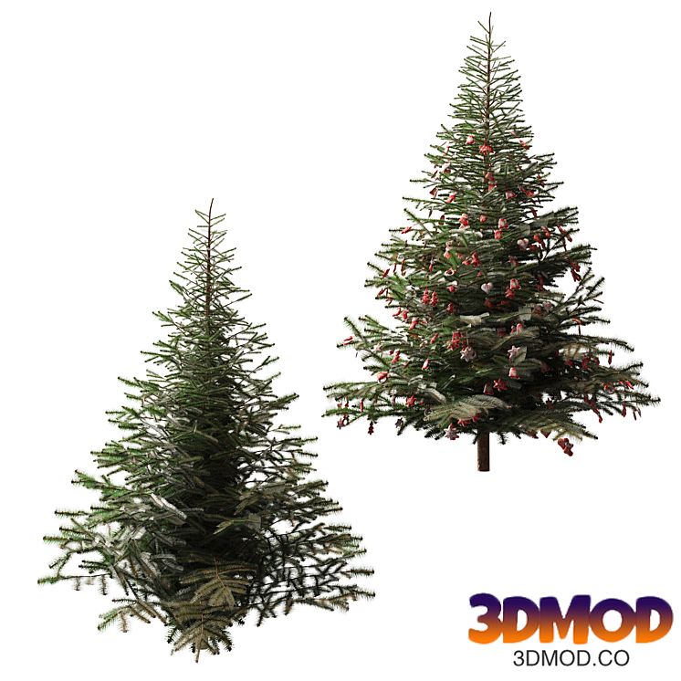 Christmas tree and Christmas tree