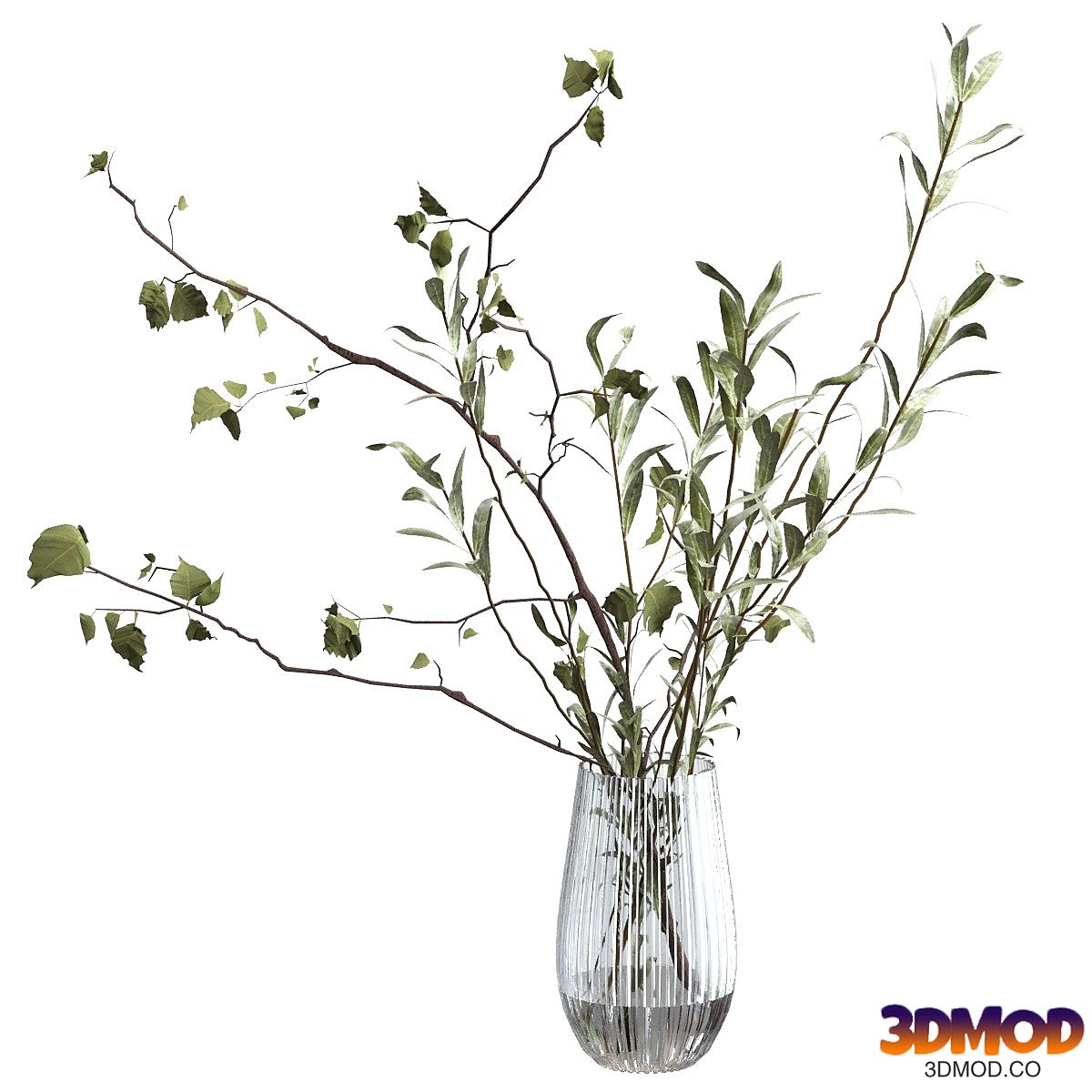 Bouquet of branches
