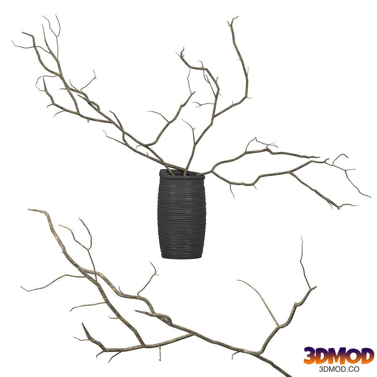 Branches in a vase