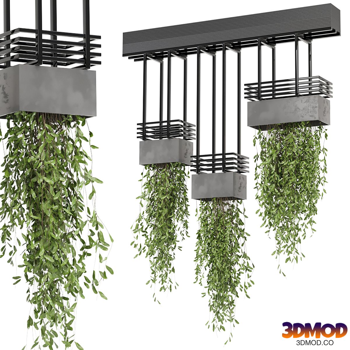 indoor hanging plants in metal box_ - Set 682