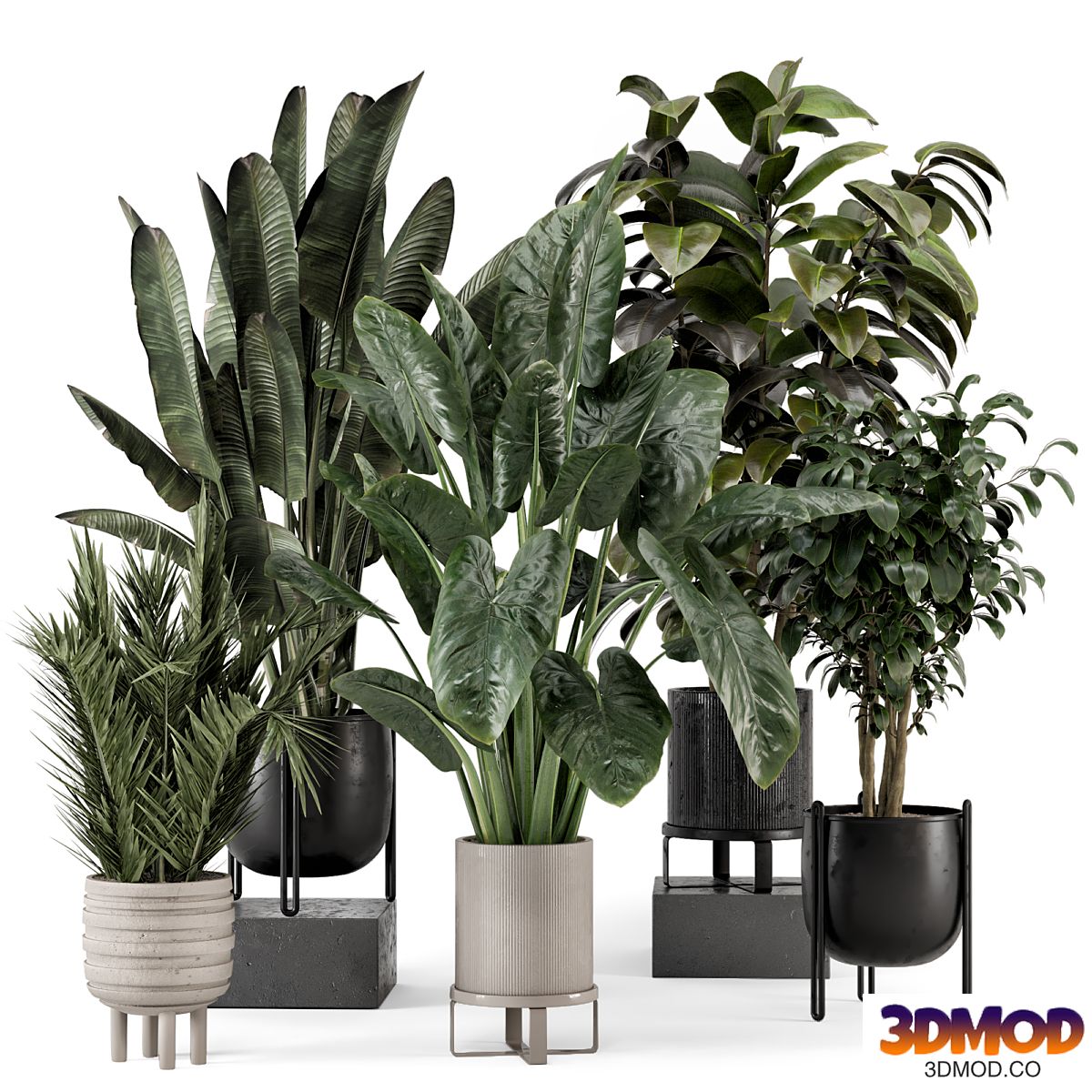 Indoor Plants in Ferm Living Bau Pot Large - Set 1292