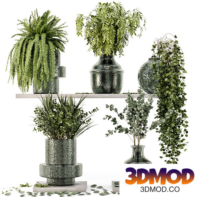 Collection Indoor Plants in Glass Pots - Set 695