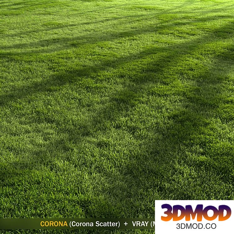 Forest Grass 2