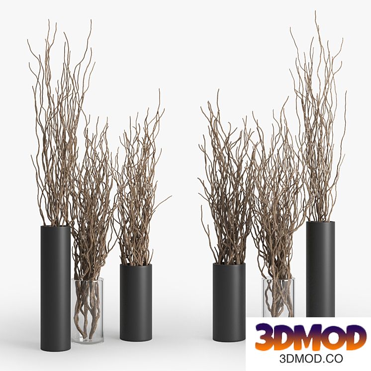 Dry Branch